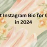 Best Instagram Bio For Girls In 2024